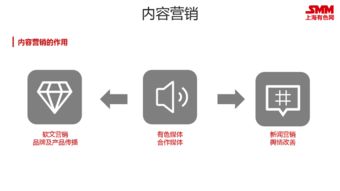 SMM整合營銷戰略發布 以互聯網形式促企業利益最大化